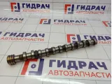 Распредвал выпускной Volkswagen Touareg (GP) 022109101C