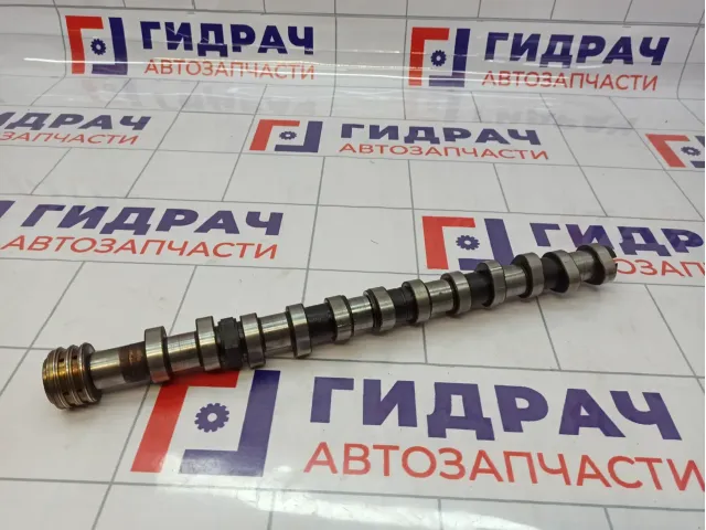 Распредвал выпускной Volkswagen Touareg (GP) 022109101C