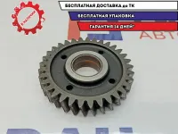 Шестерня ГРМ промежуточная Volkswagen Touareg 0707109437B.