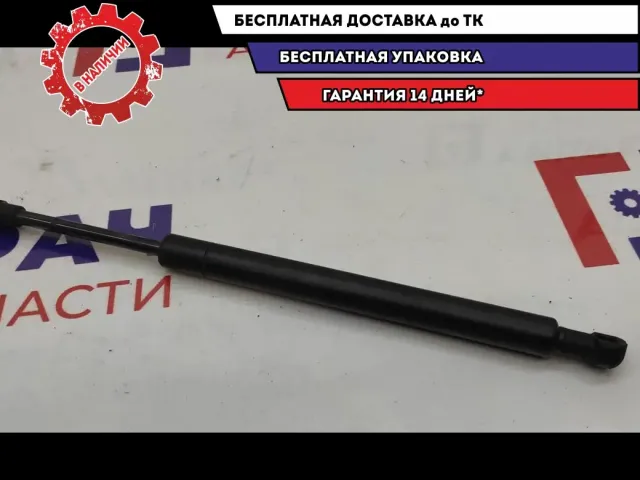 Амортизатор стекла багажника Volkswagen Touareg 7L6845587A.