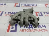 Коллектор впускной Volkswagen Touran (1T1) 03G129713