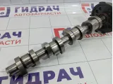 Распредвал Volkswagen Touran (1T1) 038109101R