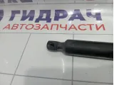 Амортизатор крышки (двери) багажника Volkswagen Transporter 7H0827550