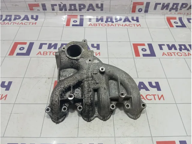 Коллектор впускной Volkswagen Transporter 03G129713P