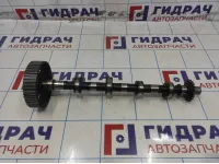 Распредвал выпускной Volkswagen Touareg (GP) 077109022EM