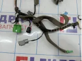 Проводка двери передней правой Volvo C30 30658539