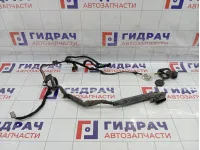 Проводка двери передней правой Volvo S40 30772114