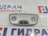 Плафон салонный Volvo S40 8620102