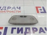 Плафон салонный Volvo S40 8620102