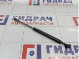 Амортизатор крышки (двери) багажника Volvo S40 31297829