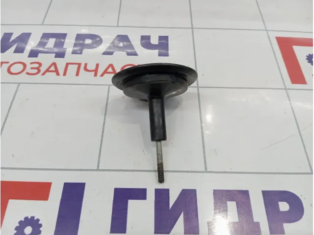 Крепление (болт) запасного колеса Volvo S40 30671290