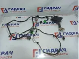 Проводка двери передней левой Volvo XC90 8697911.