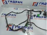 Проводка двери передней левой Volvo XC90 8697911.