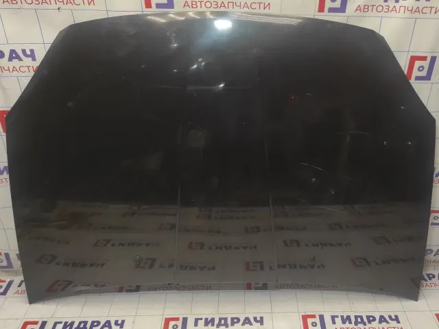 Капот Vortex Estina A218402010DY