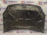 Капот Vortex Estina A218402010DY