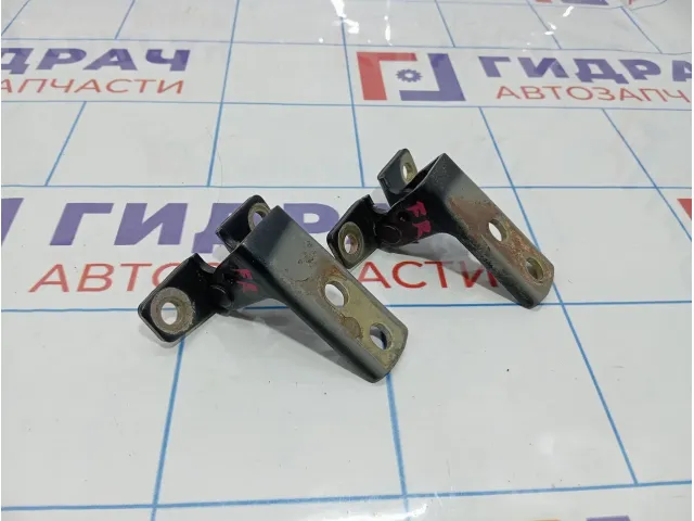 Петли двери передней правой Vortex Estina