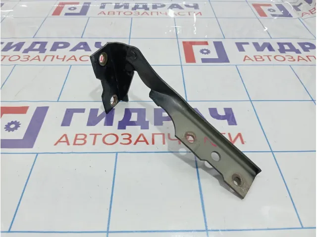 Петля капота левая Vortex Estina A218402030DY