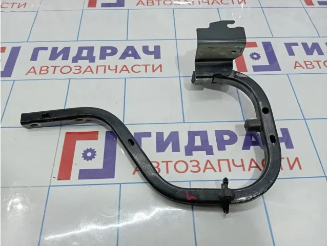 Петля крышки багажника левая Vortex Estina A216306050