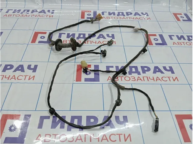 Проводка двери задней правой Vortex Estina A213724520