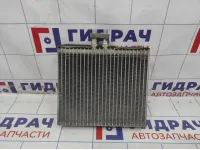 Испаритель кондиционера Vortex Estina A218107150