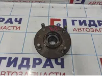 Ступица задняя Vortex Estina