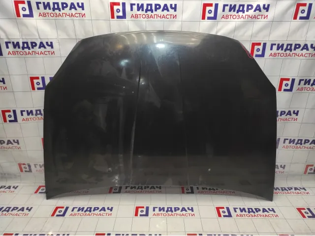 Капот Vortex Estina A218402010DY