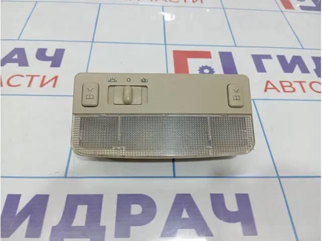 Плафон салонный передний Vortex Estina A213714010