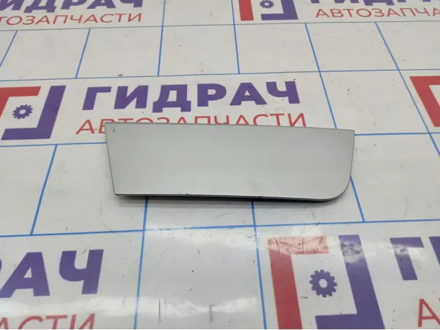 Накладка двери наружная задняя правая Vortex Estina A216202640