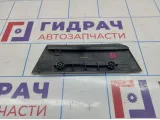 Накладка двери наружная задняя правая Vortex Estina A216202640