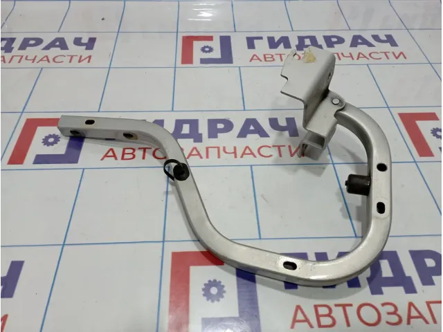 Петля крышки багажника левая Vortex Estina A216306050