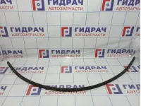 Молдинг крыши левый Vortex Estina