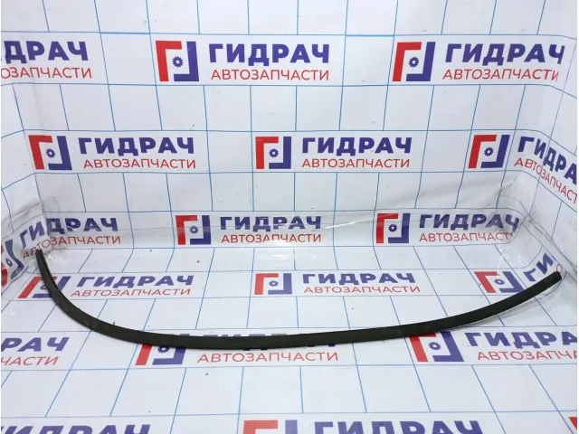 Молдинг крыши правый Vortex Estina