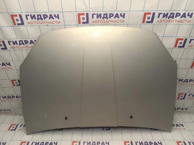 Капот Vortex Estina