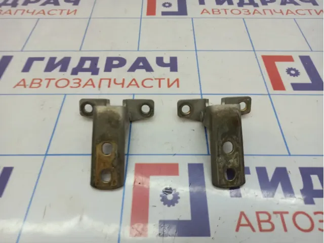 Петли двери передней левой Vortex Estina