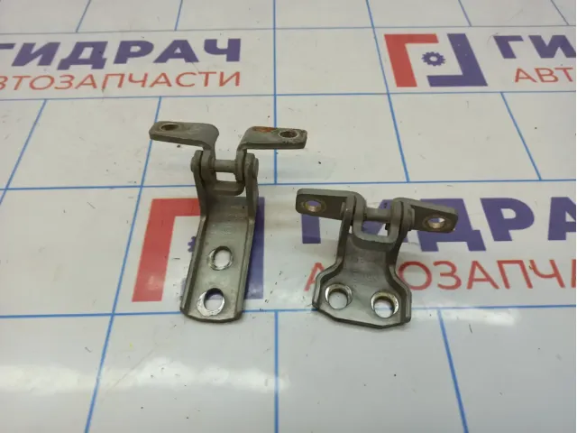 Петли двери задней левой Vortex Estina