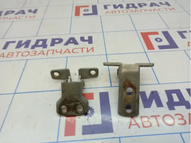 Петли двери задней правой Vortex Estina