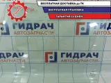 Стекло двери заднее левое Vortex Tingo .