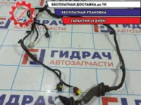 Проводка двери задней левой Vortex Tingo T113724110.