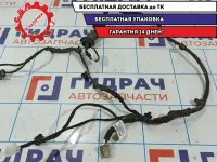 Проводка двери задней правой Vortex Tingo T113724120.