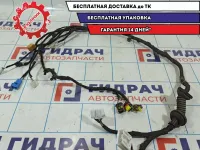 Проводка двери передней левой Vortex Tingo T113724070.