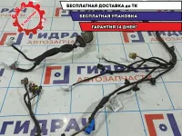 Проводка двери передней правой Vortex Tingo T113724080.