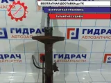 Амортизатор передний правый Vortex Tingo T112905020.