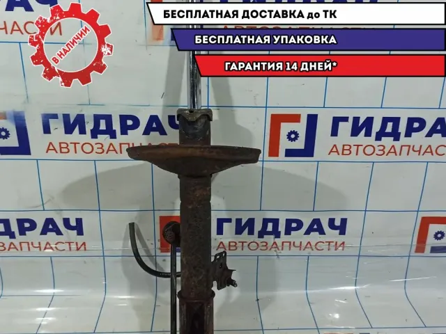 Амортизатор передний правый Vortex Tingo T112905020.