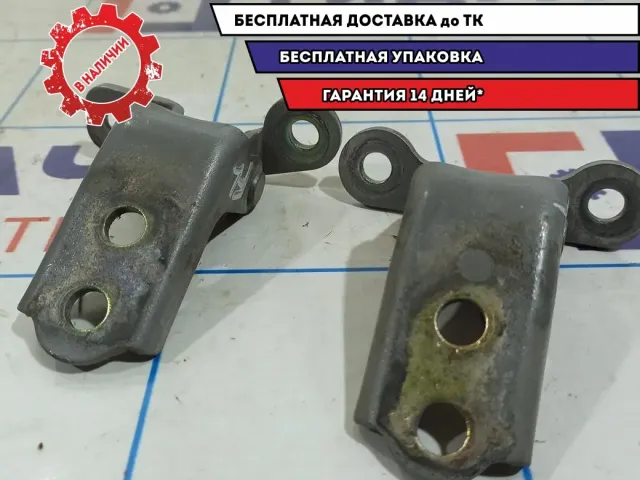 Петли двери передней левой Vortex Tingo .