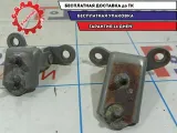 Петли двери задней правой Vortex Tingo .