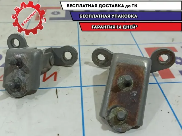 Петли двери задней правой Vortex Tingo .