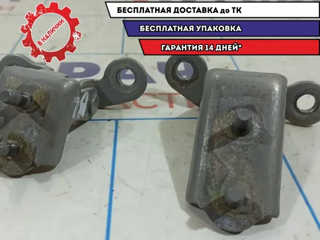 Петли двери задней левой Vortex Tingo .
