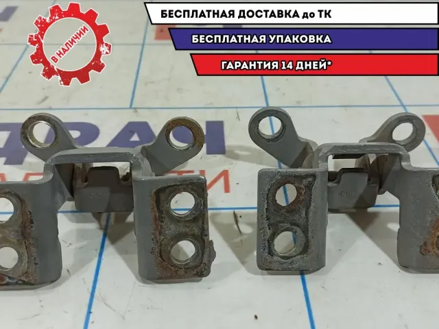 Петли двери багажника Vortex Tingo .