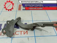Петля капота правая Vortex Tingo T11840204.