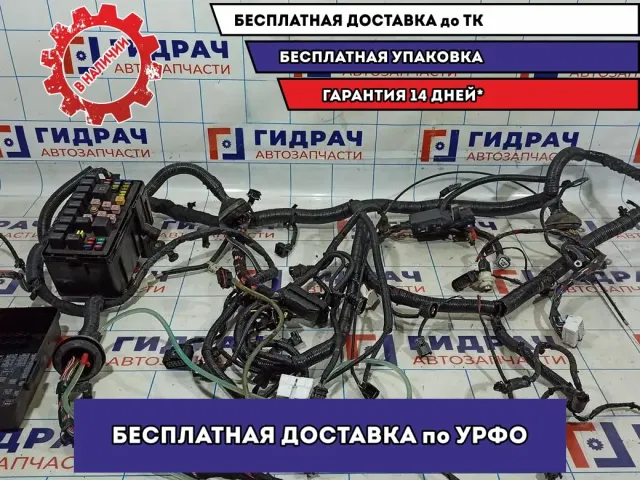 Проводка моторная Vortex Tingo .